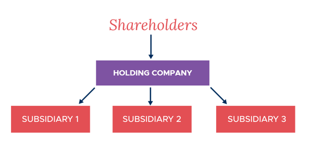 what-is-a-holding-company